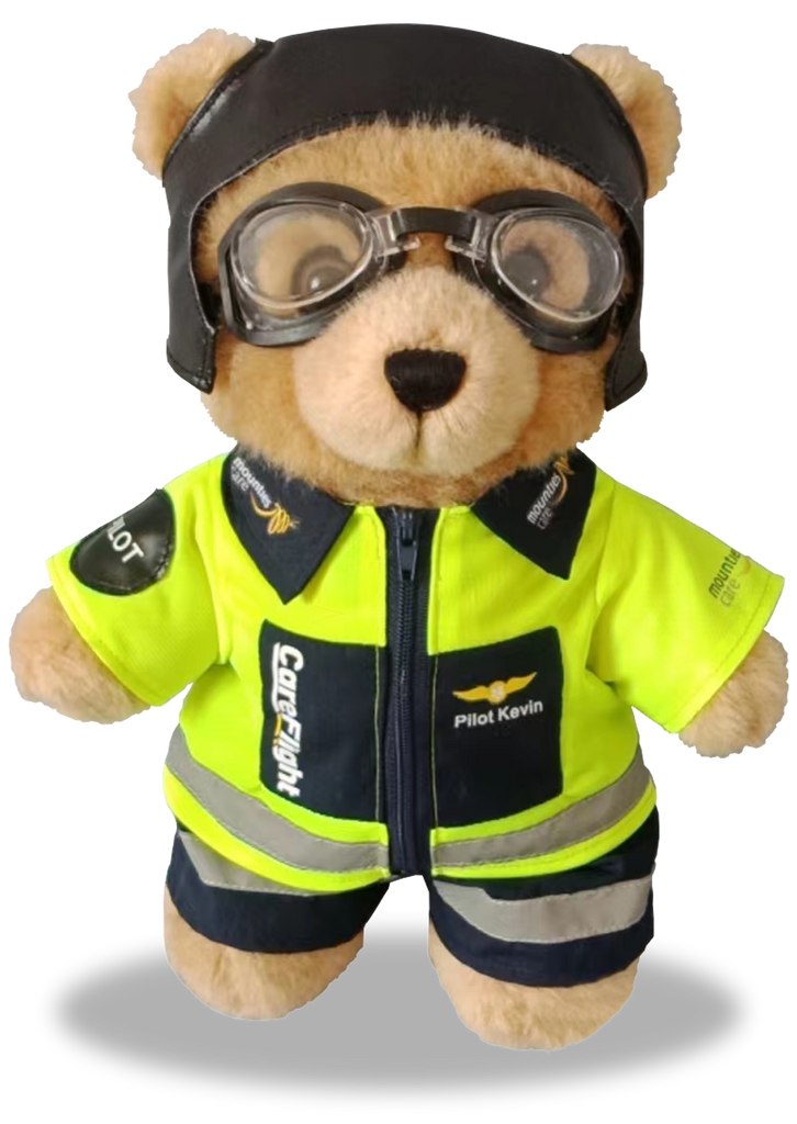 Kevin - Pilot Bear
