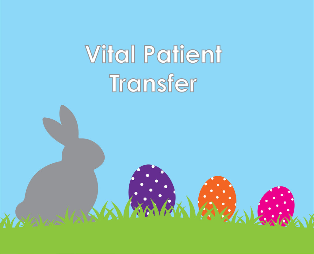 Vital Patient Transfer - help transport patients to get the urgent care they need